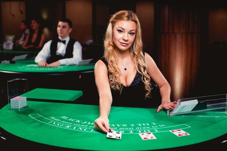 Novibet APP Live Casino